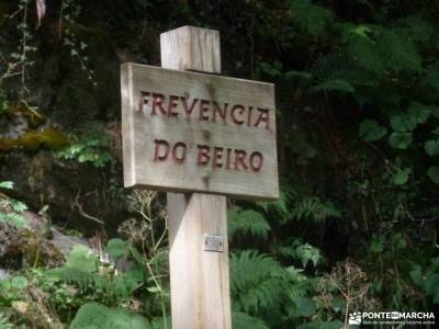 Comarca del Bierzo-Viaje León; grupo de amigos madrid sendas verdes de madrid castillo jadraque mon